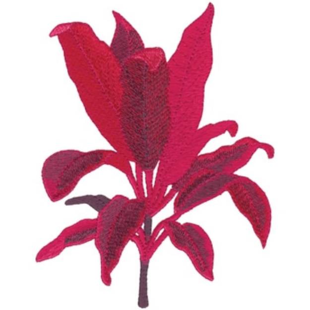 Picture of Ti Plant Machine Embroidery Design