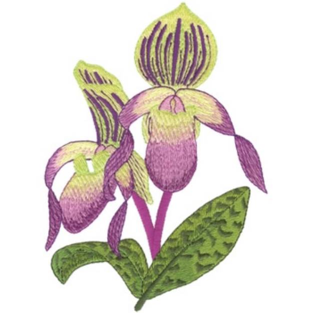 Picture of Ladies Slipper Orchid Machine Embroidery Design