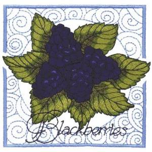 Picture of Blackberries Machine Embroidery Design