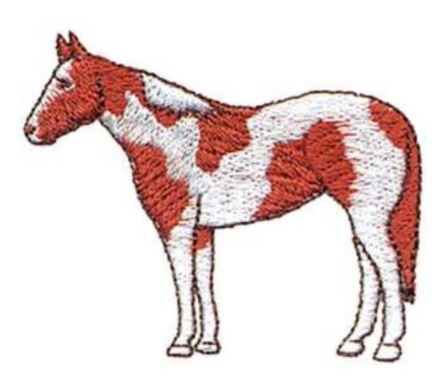 Picture of Pinto Machine Embroidery Design