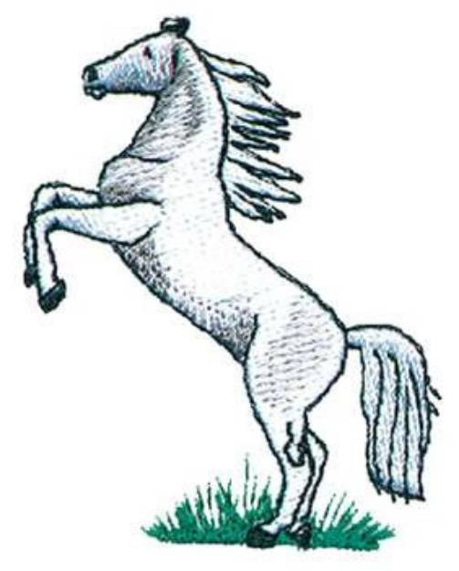Picture of Small Horse Rearing Machine Embroidery Design