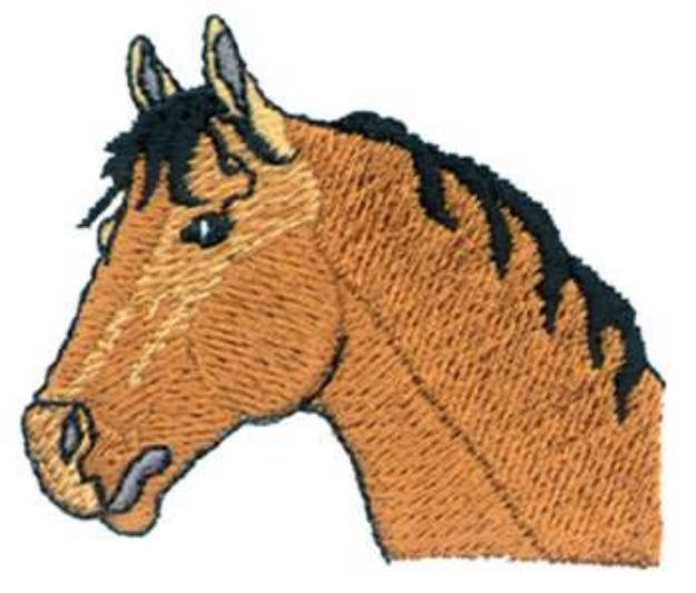 Picture of Quarter Horse Head Machine Embroidery Design