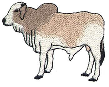 Brahman Bull Machine Embroidery Design