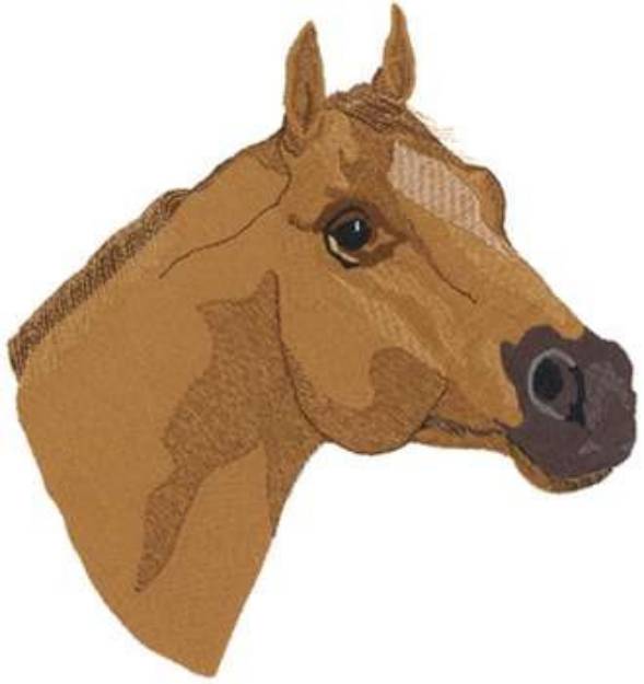 Picture of Large Quarter Horse Machine Embroidery Design