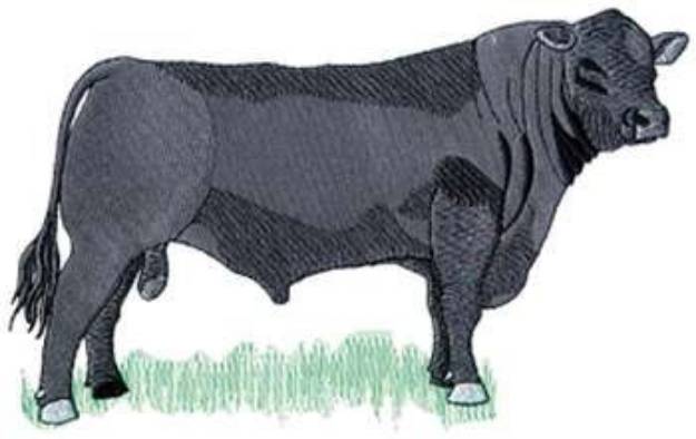 Picture of Angus Bull Machine Embroidery Design
