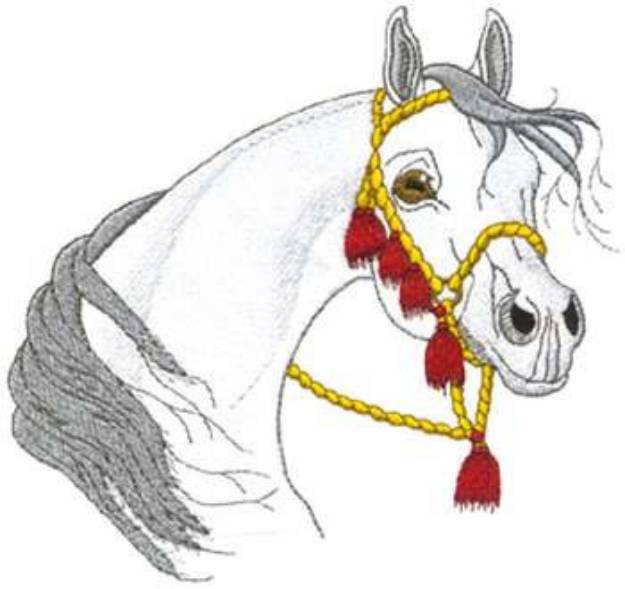 Picture of Arabian With Tassels Machine Embroidery Design