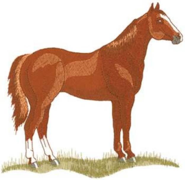 Picture of Lg. Quarter Horse Machine Embroidery Design
