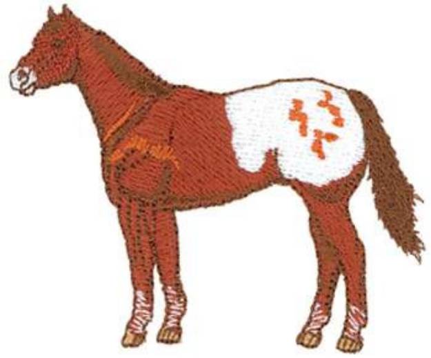 Picture of Sm. Appaloosa Machine Embroidery Design