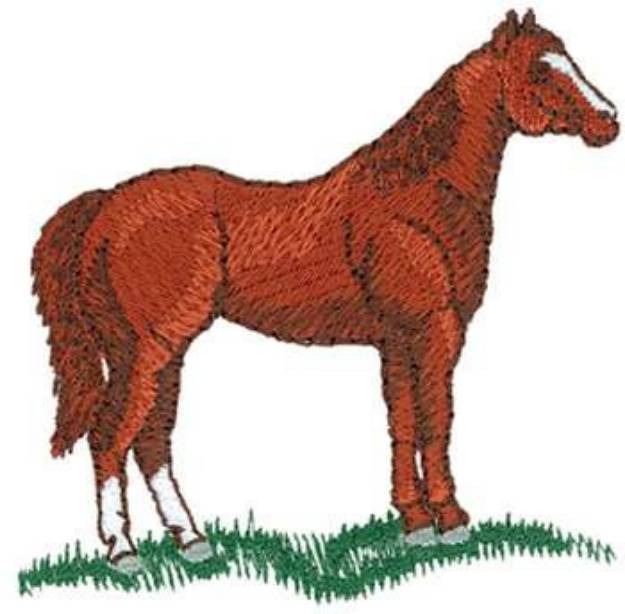 Picture of Sm. Quarter Horse Machine Embroidery Design