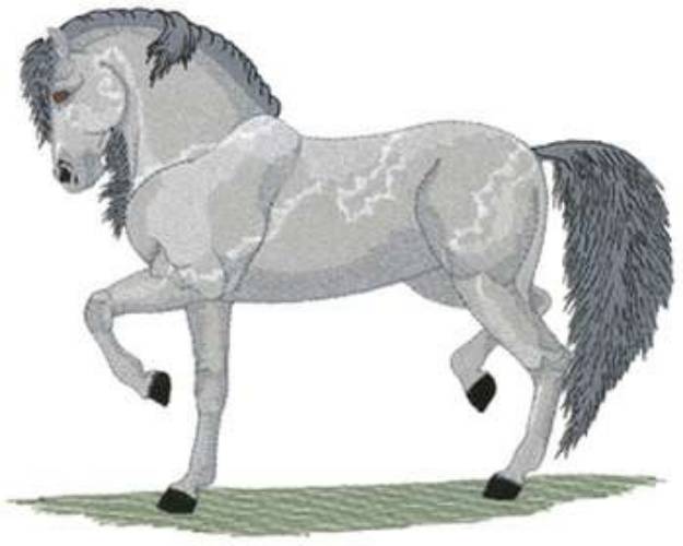 Picture of Lg. Andalusian Machine Embroidery Design
