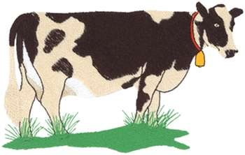 Cow With Grass Machine Embroidery Design