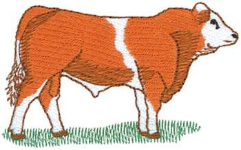 Simmental Cow Machine Embroidery Design