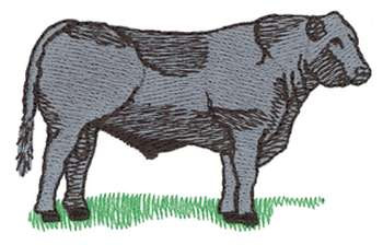 Angus Cow Machine Embroidery Design