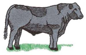 Picture of Angus Cow Machine Embroidery Design