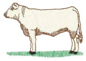 Picture of Charolais Cow Machine Embroidery Design