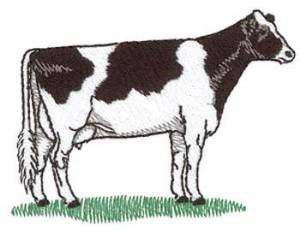 Picture of Holstein Machine Embroidery Design