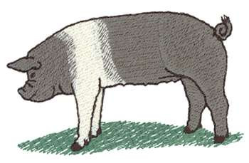 Hampshire Pig Machine Embroidery Design