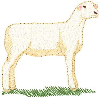 Dorset Sheep Machine Embroidery Design
