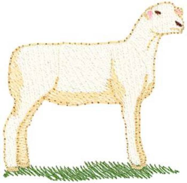 Picture of Dorset Sheep Machine Embroidery Design