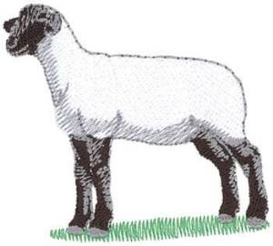 Picture of Suffolk Sheep Machine Embroidery Design