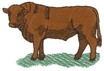 Red Angus Machine Embroidery Design