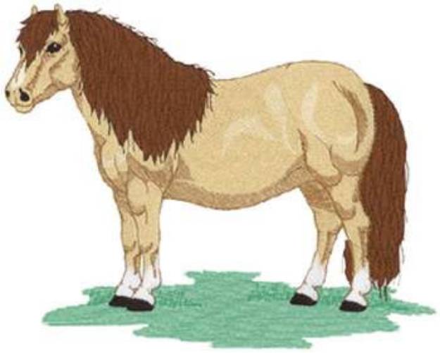Picture of Shetland Pony Machine Embroidery Design