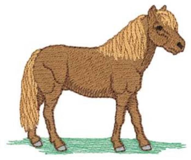 Picture of Sm. Miniature Horse Machine Embroidery Design