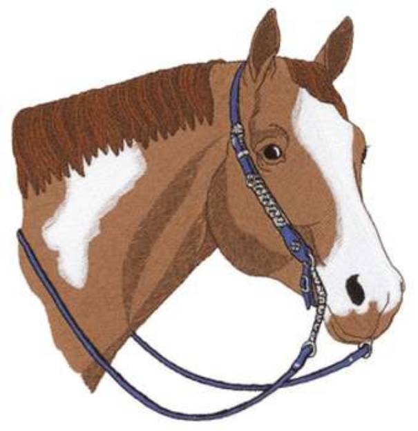 Picture of Paint Horse Head Machine Embroidery Design