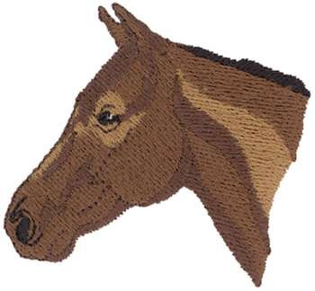 Morgan Horse Head Machine Embroidery Design