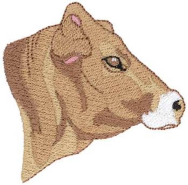 Picture of Brown Swiss Head Machine Embroidery Design