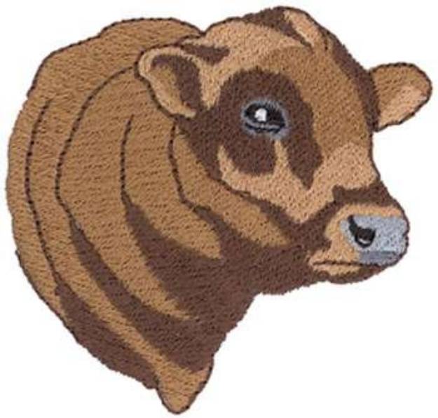 Picture of Angus Bull Head Machine Embroidery Design