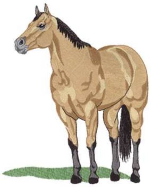 Picture of Buckskin Quarter Horse Machine Embroidery Design
