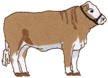 Show Steer Machine Embroidery Design