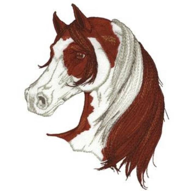 Picture of Arabian With Paint Machine Embroidery Design