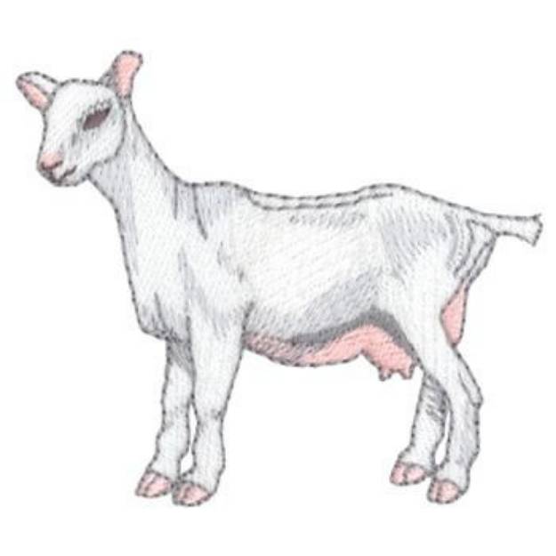 Picture of Saanen Goat Machine Embroidery Design
