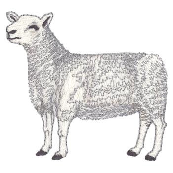 Montadale Sheep Machine Embroidery Design