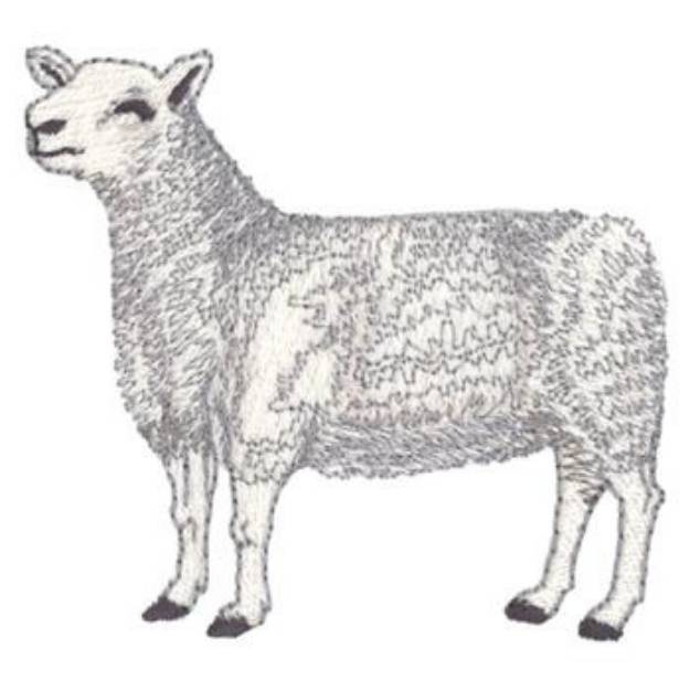 Picture of Montadale Sheep Machine Embroidery Design