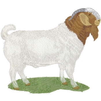 Boer Goat Machine Embroidery Design