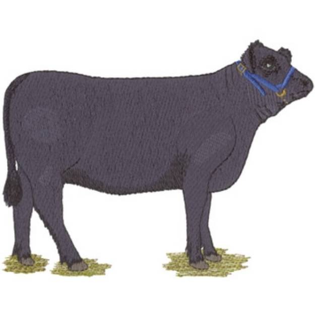 Picture of Show Heifer Machine Embroidery Design