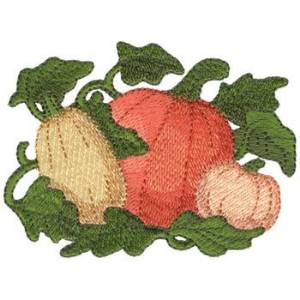 Picture of Thanksgiving Squash Machine Embroidery Design