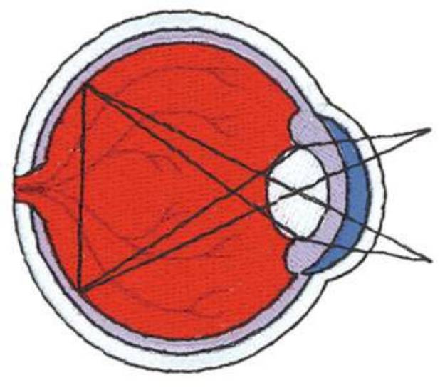 Picture of Eye Diagram Machine Embroidery Design