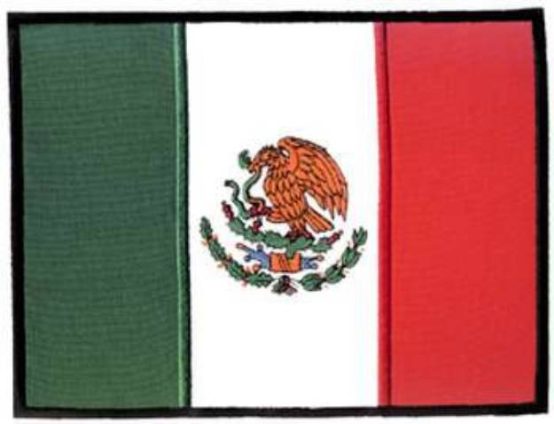 Picture of Applique Mexican Flag Machine Embroidery Design