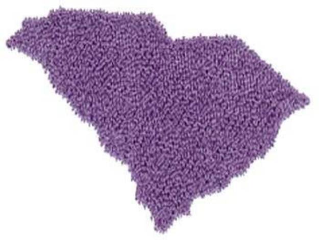 Picture of South Carolina State Machine Embroidery Design