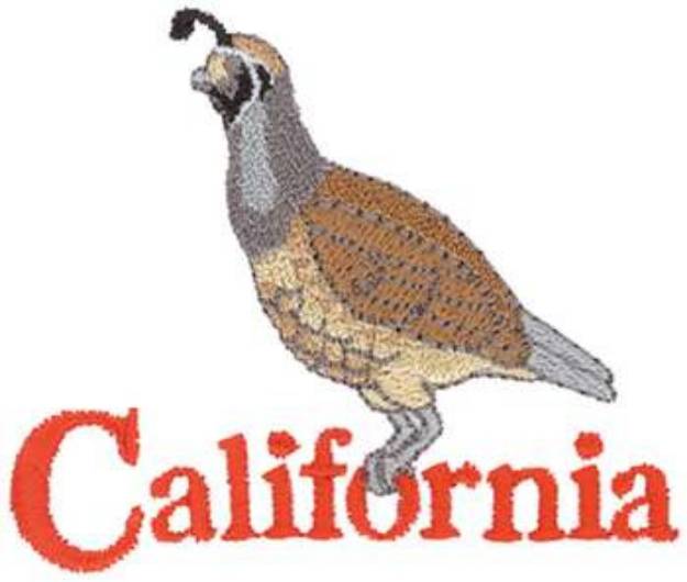 Picture of California Valley Quail Machine Embroidery Design