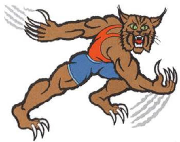 Picture of Sporty Wildcat Machine Embroidery Design