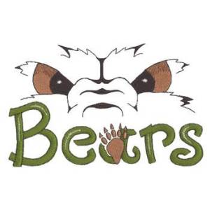 Picture of Bears Eyes Machine Embroidery Design