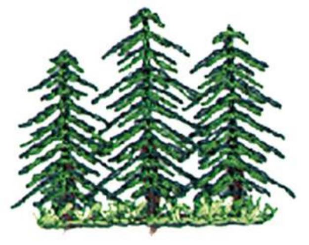 Picture of Evergreens Machine Embroidery Design