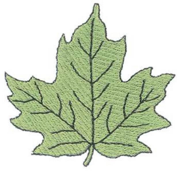Picture of Sugar Maple Leaf Machine Embroidery Design