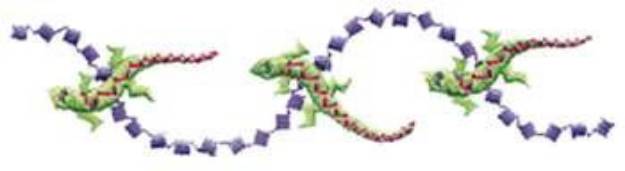 Picture of Southwestern Lizards Machine Embroidery Design