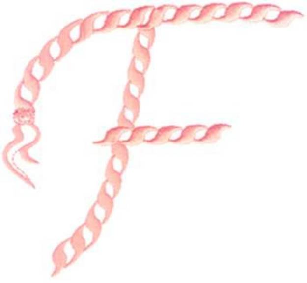 Picture of Rope Alphabet F Machine Embroidery Design